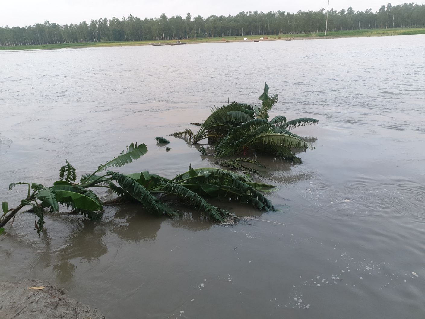 বর্ষা - নদী ভাঙ্গন