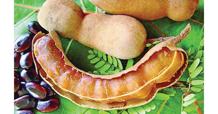 তেঁতুল পানির উপকারিতা তেঁতুল পানির উপকারিতা