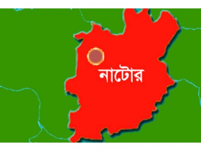 জেলা জামায়াতের সেক্রেটারিসহ নাটোরে ১৫ নেতাকর্মী আটক জেলা জামায়াতের সেক্রেটারিসহ নাটোরে ১৫ নেতাকর্মী আটক