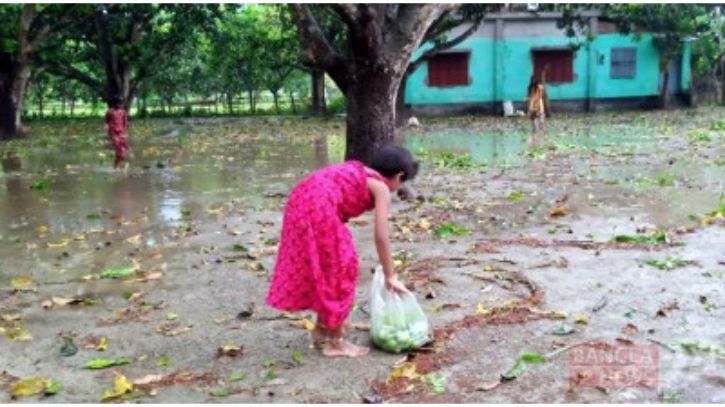 বগুড়ায় আম কুড়াতে গিয়ে ভাই-বোনের মৃত্যু বগুড়ায় আম কুড়াতে গিয়ে ভাই-বোনের মৃত্যু