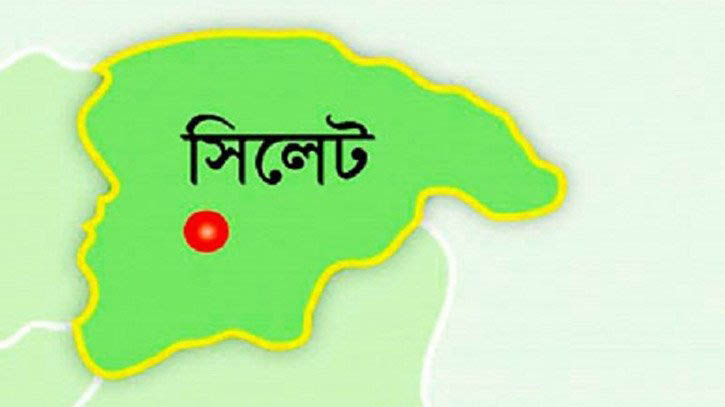 ঈদুল আযহা উপলক্ষে সিলেটে বসবে ৪১টি পশুর হাট ঈদুল আযহা উপলক্ষে সিলেটে বসবে ৪১টি পশুর হাট