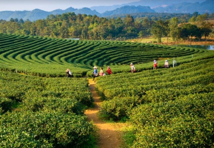 আসাম: এ যেন গণহত্যার এক লীলাভূমি