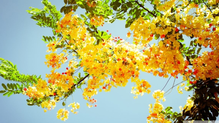 এটি হাদীস নয় এটি হাদীস নয়