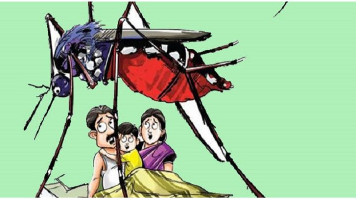 গত ২৪ ঘণ্টায় ডেঙ্গুতে মৃত্যু নেই, হাসপাতালে ১২ জন গত ২৪ ঘণ্টায় ডেঙ্গুতে মৃত্যু নেই, হাসপাতালে ১২ জন
