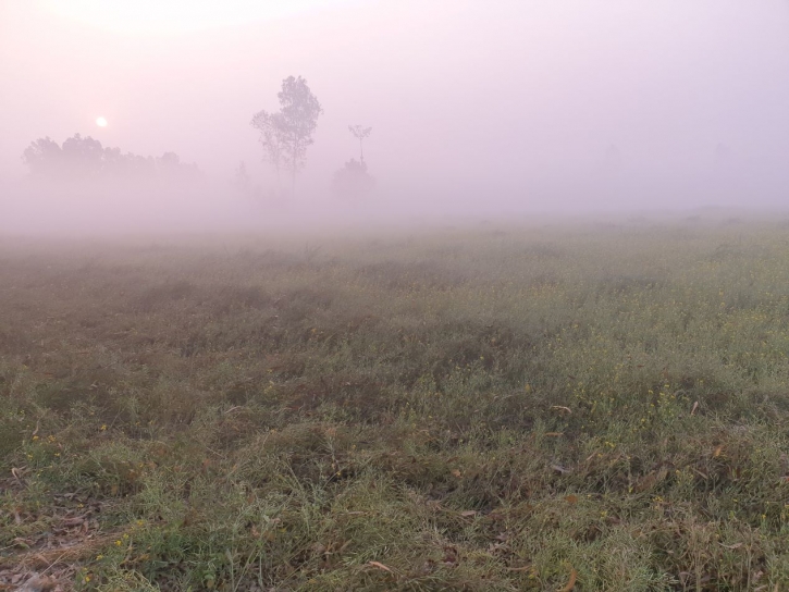 নববর্ষ ২০২২: নতুন বছরের সংকল্প