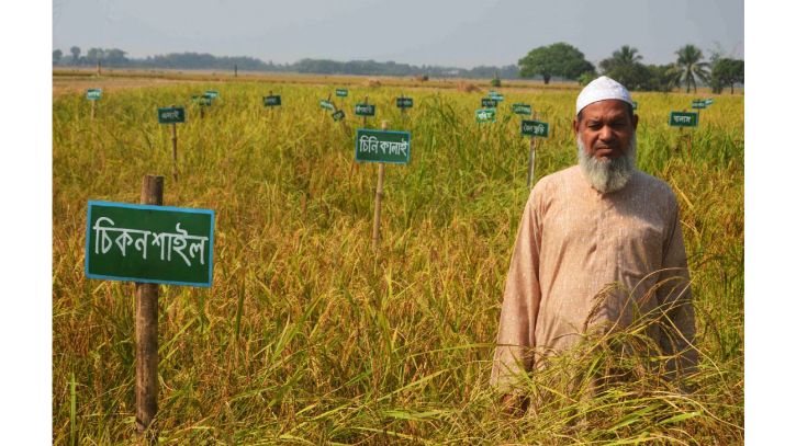 ধানের ৩০০ জাত সংরক্ষণকারী কৃষক ইউসুফ মোল্লা আর নেই