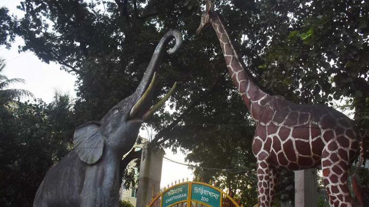 পরিসর ‘দ্বিগুণ’ হচ্ছে চট্টগ্রাম চিড়িয়াখানার, হচ্ছে প্রাণী জাদুঘরও