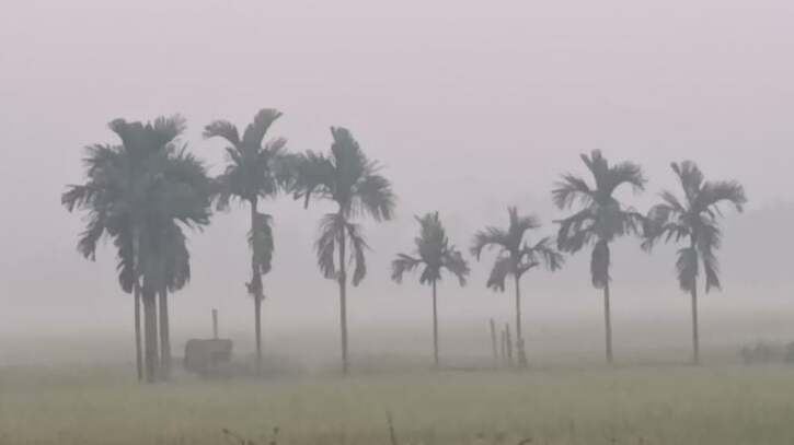 পঞ্চগড়ে তাপমাত্রা নেমেছে ১২ ডিগ্রির ঘরে