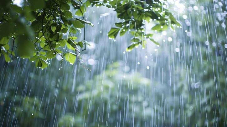 চার দিন ভারী বৃষ্টি হতে পারে চার দিন ভারী বৃষ্টি হতে পারে