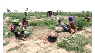 নাইজেরিয়ায় ১৩ জন কৃষককে অপহরণ করেছে বন্দুকধারীরা
