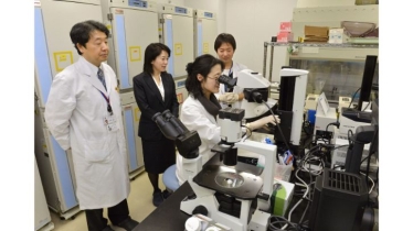 বিশ্বে প্রথম পারকিনসন রোগের চিকিৎসায় স্টেম-সেল অনুমোদন জাপানে