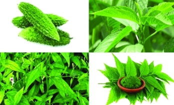 যে কারণে খাবেন তিতা খাবার