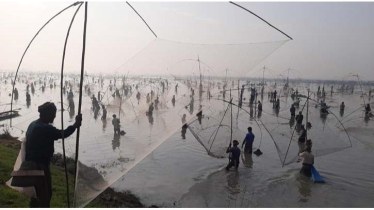চলনবিল এ  বাউত উৎসব, মাছ না পেয়ে হতাশ শিকারিরা