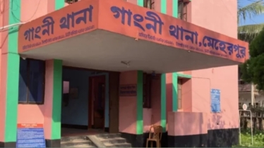 মেহেরপুর সীমান্তে নারী ও শিশুসহ ৩০ জনকে পুশ ইন