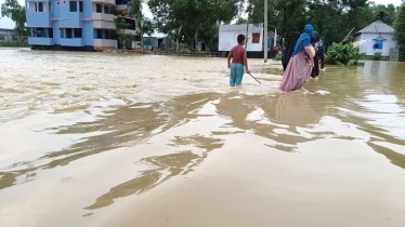 আখাউড়ায় পাহাড়ি ঢলে ১৯টি গ্রাম প্লাবিত, পানিবন্দী ৪৫০ পরিবার