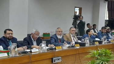 পোস্টাল ভোটিং জটিল হলেও বাংলাদেশ চ্যালেঞ্জটি নিতে যাচ্ছে : সিইসি