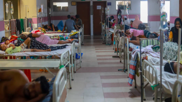 ডেঙ্গুতে ৩ জনের মৃত্যু, হাসপাতালে ভর্তি ৪১১