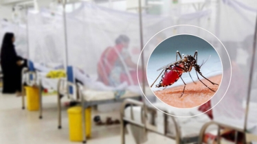 ডেঙ্গুতে পাঁচজনের মৃত্যু, হাসপাতালে ভর্তি ১১৪৭