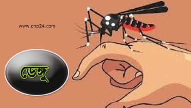 ডেঙ্গু: গত ২৪ ঘন্টায় মারা গেছে ১৫, নতুন আক্রান্ত ২,১০৩ জন