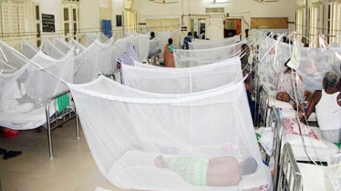 ডেঙ্গুতে ৫ জনের মৃত্যু, হাসপাতালে ভর্তি ১১৩৯