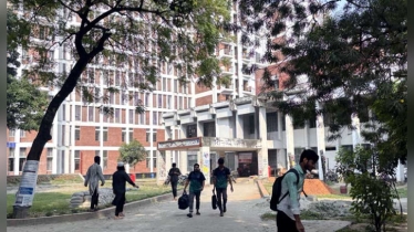 শীতের ছুটিও বহাল, ঢাবি খুলবে ২৮ ডিসেম্বর