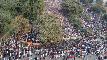 আমার ভাইয়ের বিচার যেন প্রকাশ্যে দেখতে পারি: ওসমান হাদির বড় ভাই