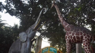 পরিসর ‘দ্বিগুণ’ হচ্ছে চট্টগ্রাম চিড়িয়াখানার, হচ্ছে প্রাণী জাদুঘরও
