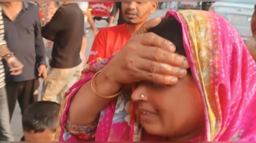 ‘ফ্লাইওভার থেকে ছোড়া’ ককটেলে নারী আহত