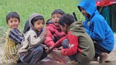 পদ্মার ১৭ চরে নেই স্কুল, শিক্ষাবঞ্চিত হাজারো শিশু