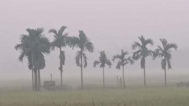 পঞ্চগড়ে তাপমাত্রা নেমেছে ১২ ডিগ্রির ঘরে