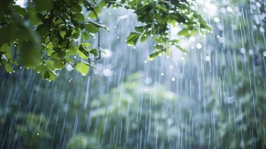 চার দিন ভারী বৃষ্টি হতে পারে চার দিন ভারী বৃষ্টি হতে পারে