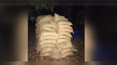 সিরাজগঞ্জে জঙ্গল থেকে ৯৫ বস্তা খাদ্যবান্ধব কর্মসূচির চাল উদ্ধার