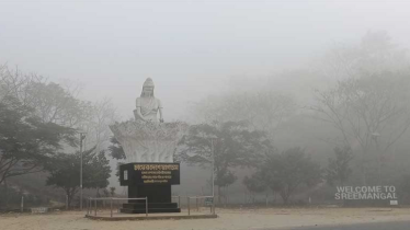 মৌলভীবাজারে কনকনে শীত, শ্রীমঙ্গলে তাপমাত্রা ৭ ডিগ্রি