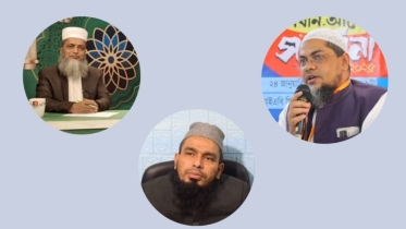 নকীব পদক পেলেন তিন লেখক