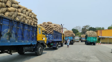 নেপালে আরও ২৭৩ মেট্রিক টন আলু রপ্তানি, কৃষক ও অর্থনীতিতে আশার আলো