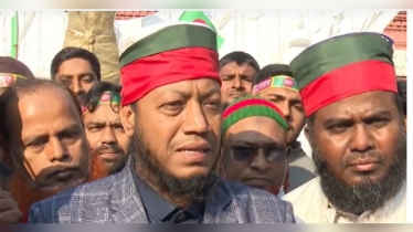 জামায়াত মুক্তিযুদ্ধ নয়, ভারতের বিরুদ্ধে ছিল: আমির হামজা