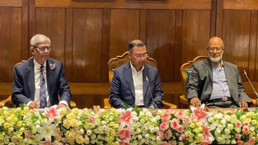 বিনাশুল্কের গাড়ি ও সরকারি প্লট ‘নেবেন না’ বিএনপির এমপিরা