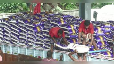 ভারত থেকে বেনাপোলে এল ৫১০ টন চাল, কেজি ৫০ টাকা