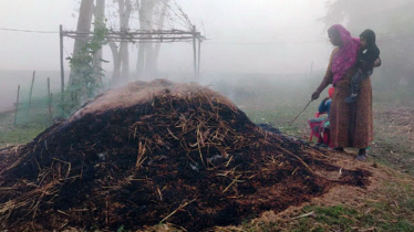 টানা ৪ দিন পঞ্চগড়ের তাপমাত্রা ১০ ডিগ্রির ঘরে