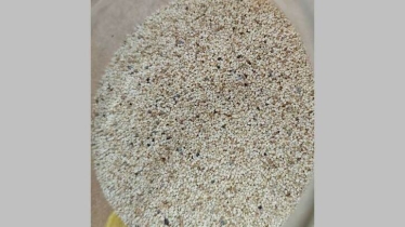 পাখি খাদ্যের ঘোষণা দিয়ে পাকিস্তান থেকে পপি বীজ এনে ধরা