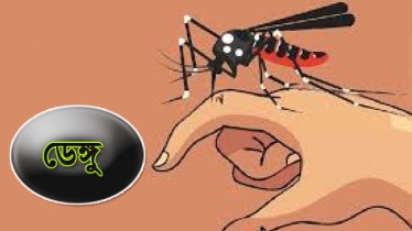 ডেঙ্গুতে ৬ জনের মৃত্যু, হাসপাতালে ভর্তি ১১৯৫