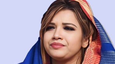 শামা ওবায়েদের আয় কমলেও সম্পদ বেড়েছে