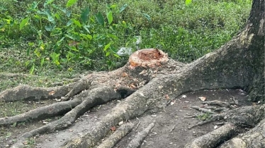 সরকারি সম্পত্তি অপব্যবহার, ইউএনও দিলেন তদন্তের নির্দেশ