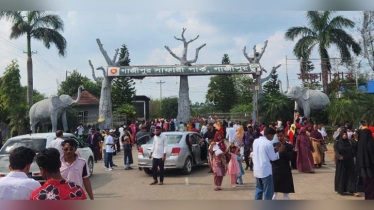 গাজীপুর সাফারি পার্কে নতুন তিন সিংহ, ঈদে দর্শনার্থীদের ভিড়