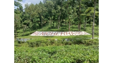 মালনীছড়া চা-বাগান হয়ে উঠছে গুরুত্বপূর্ণ পর্যটনকেন্দ্র