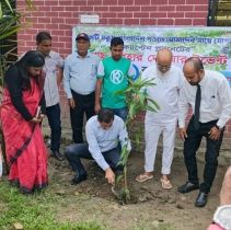 ঝালকাঠিতে ক্যাপ্টেন প্ল্যানেটের উদ্যোগে চারা বিতরণ