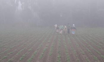 মৃদু শৈত্যপ্রবাহে কাবু কুড়িগ্রাম
