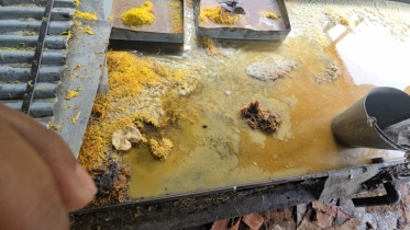 বগুড়ায় অস্বাস্থ্যকর পরিবেশে সেমাই তৈরি, কারখানা মালিকের কারাদণ্ড