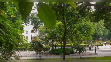 যমুনা ছাড়ছেন ইউনূস, তারেক ওঠার আগে সংস্কারে যাবে ১ মাস