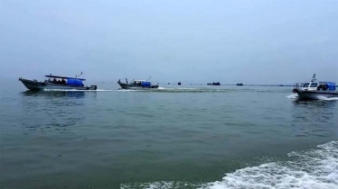 জাটকা শিকারে নিষেধাজ্ঞা কার্যকর আজ থেকে জাটকা শিকারে নিষেধাজ্ঞা কার্যকর আজ থেকে